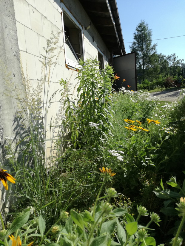 Suwalska kraina czarów