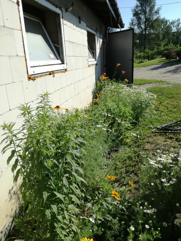 Suwalska kraina czarów