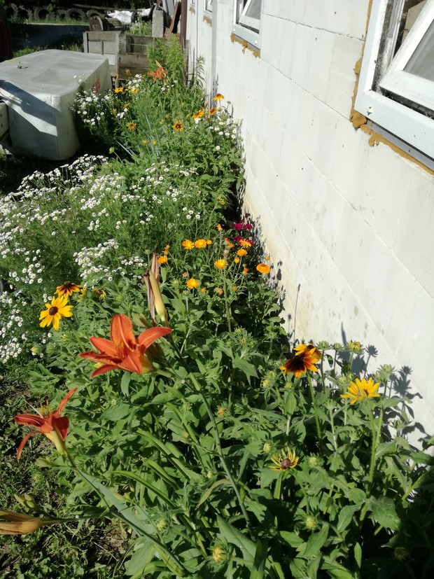 Suwalska kraina czarów