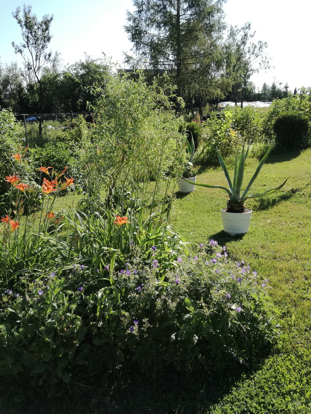 Suwalska kraina czarów