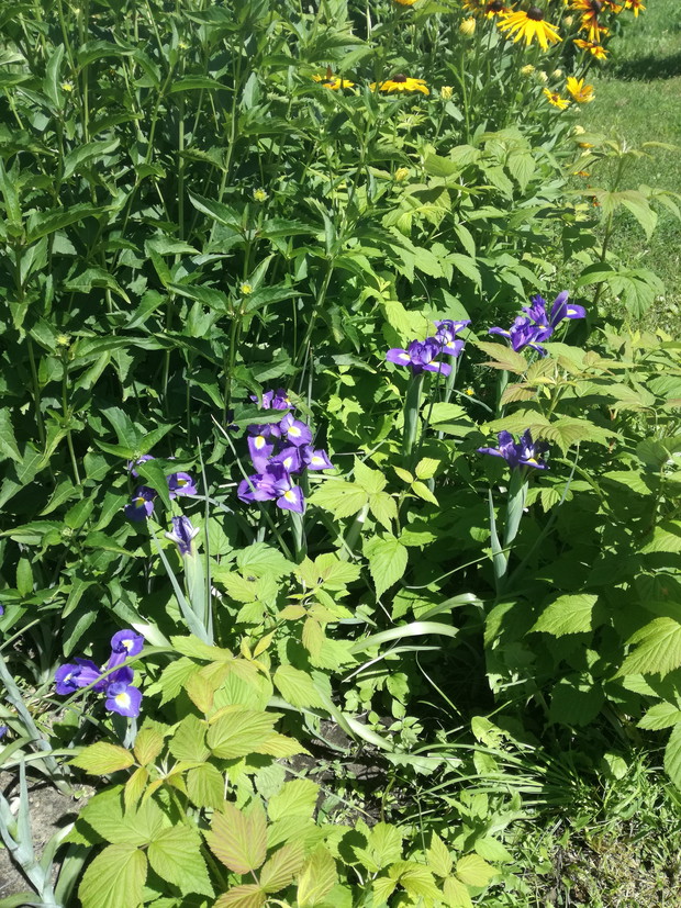 Suwalska kraina czarów