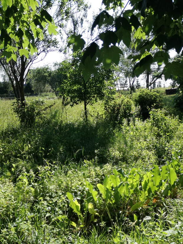 Suwalska kraina czarów