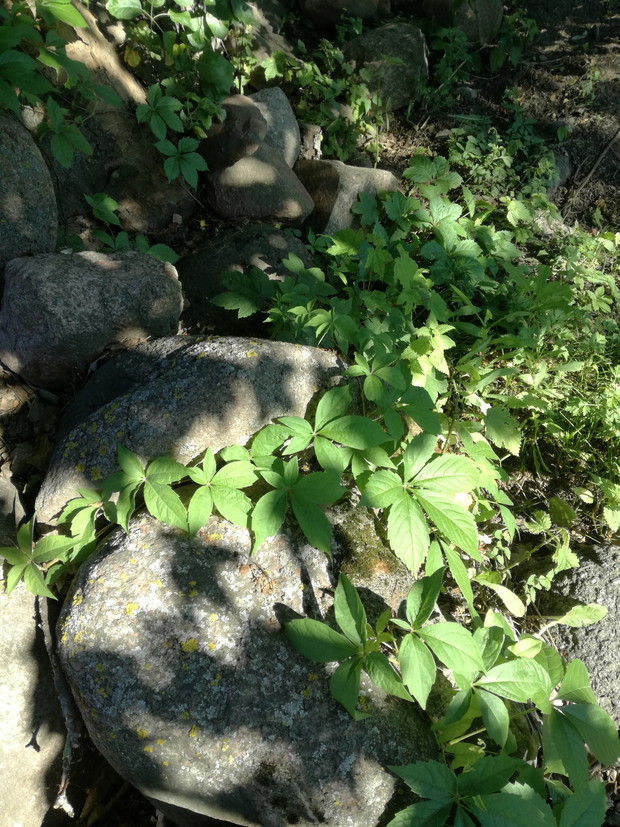 Suwalska kraina czarów