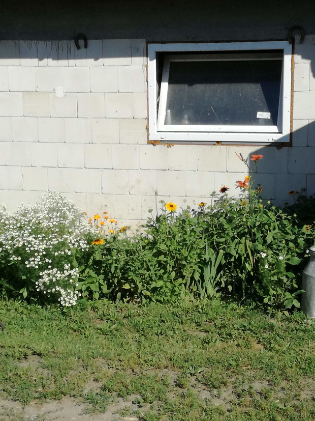 Suwalska kraina czarów