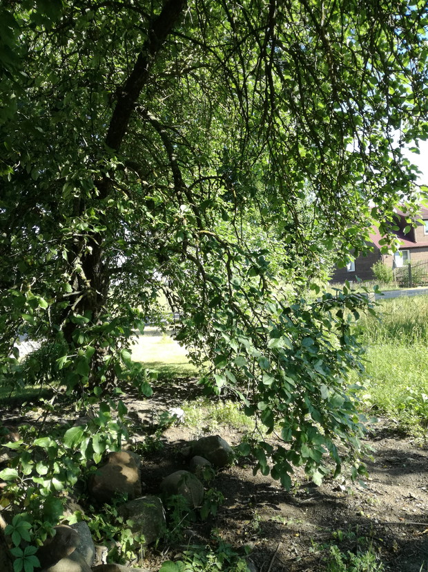 Suwalska kraina czarów