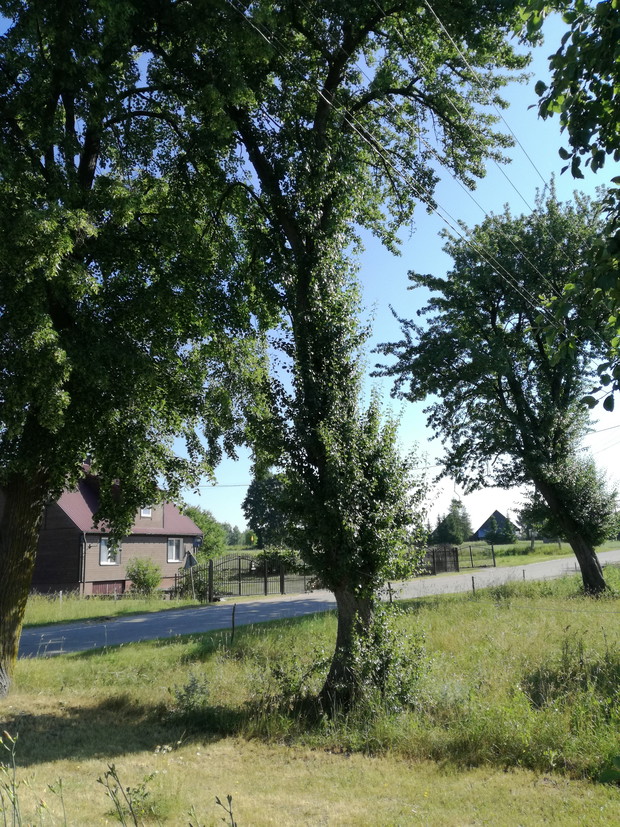 Suwalska kraina czarów