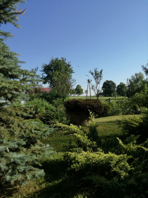 Suwalska kraina czarów