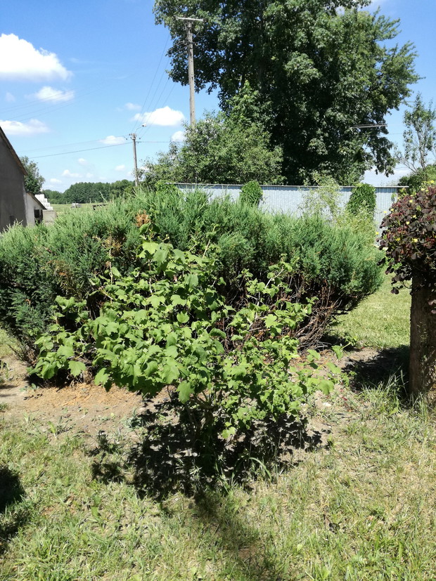 Suwalska kraina czarów