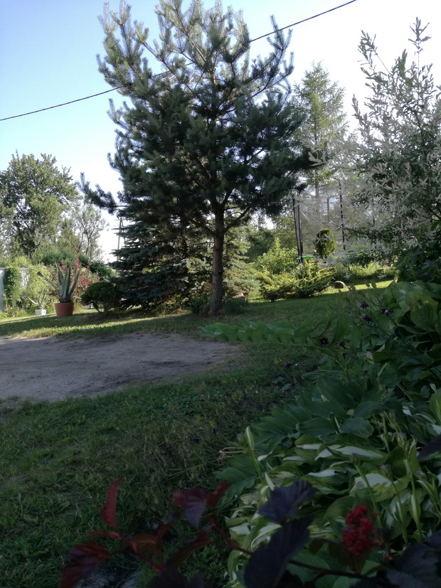 Suwalska kraina czarów