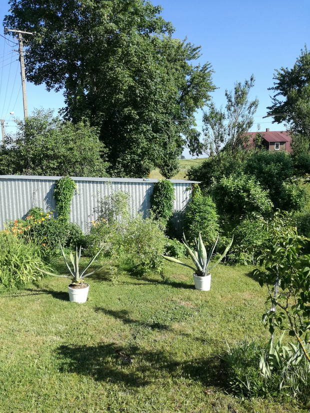 Suwalska kraina czarów