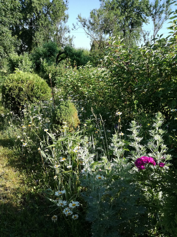 Suwalska kraina czarów