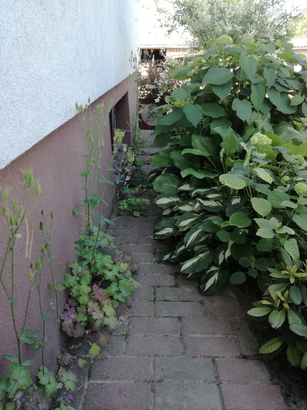 Suwalska kraina czarów