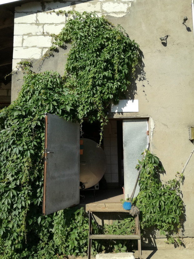 Suwalska kraina czarów