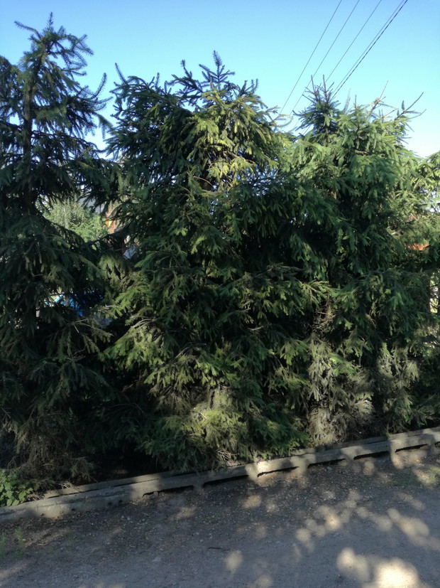 Suwalska kraina czarów