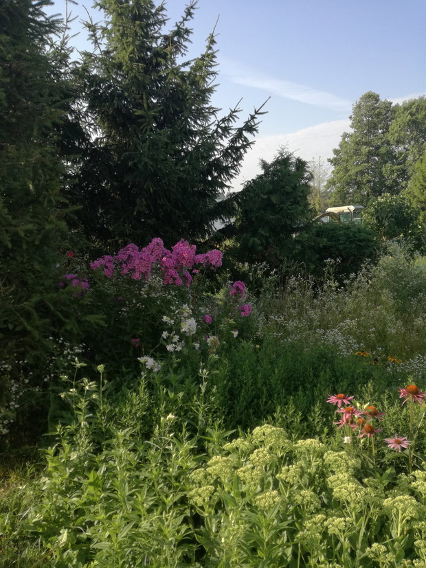 Suwalska kraina czarów