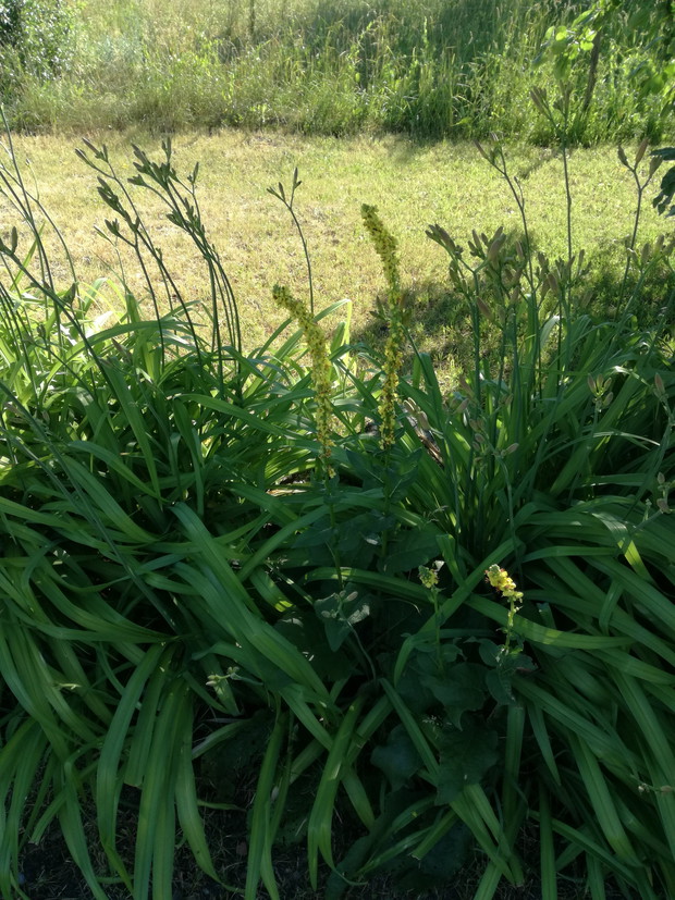 Suwalska kraina czarów