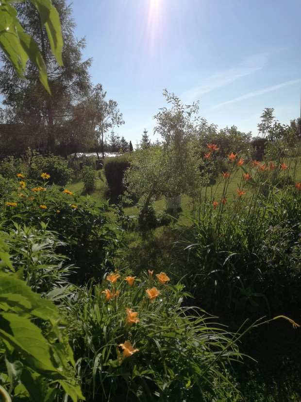 Suwalska kraina czarów