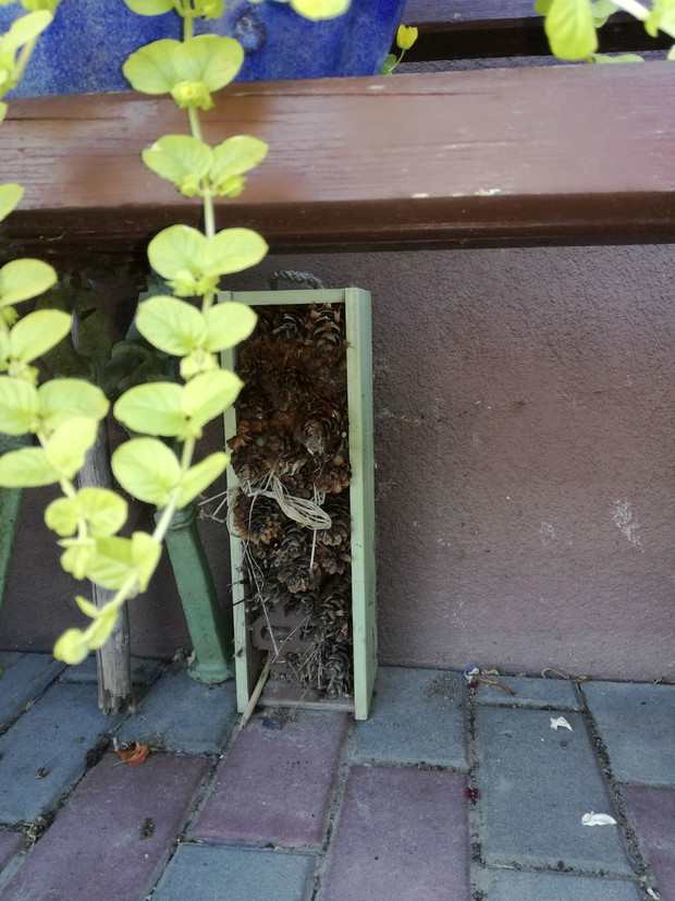 Suwalska kraina czarów