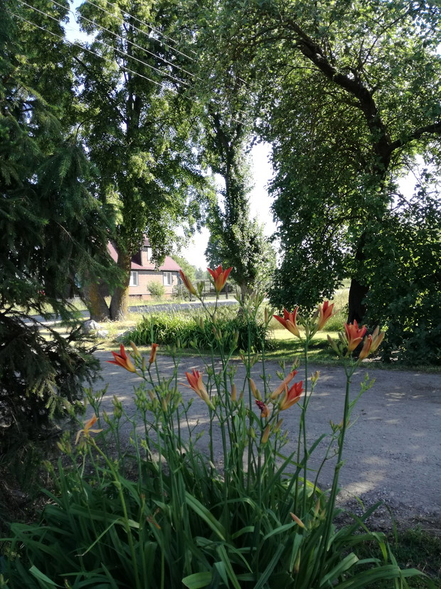 Suwalska kraina czarów