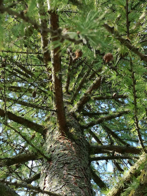 Suwalska kraina czarów