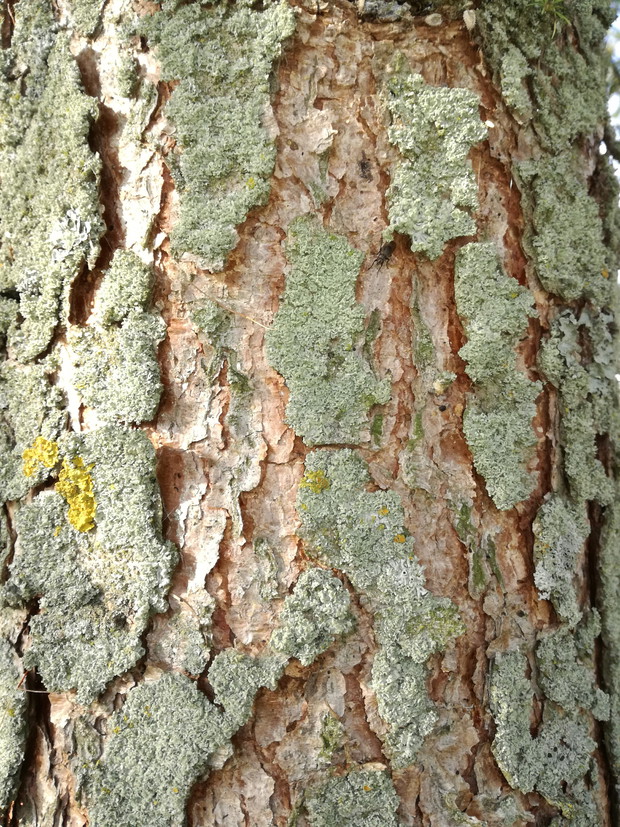 Suwalska kraina czarów