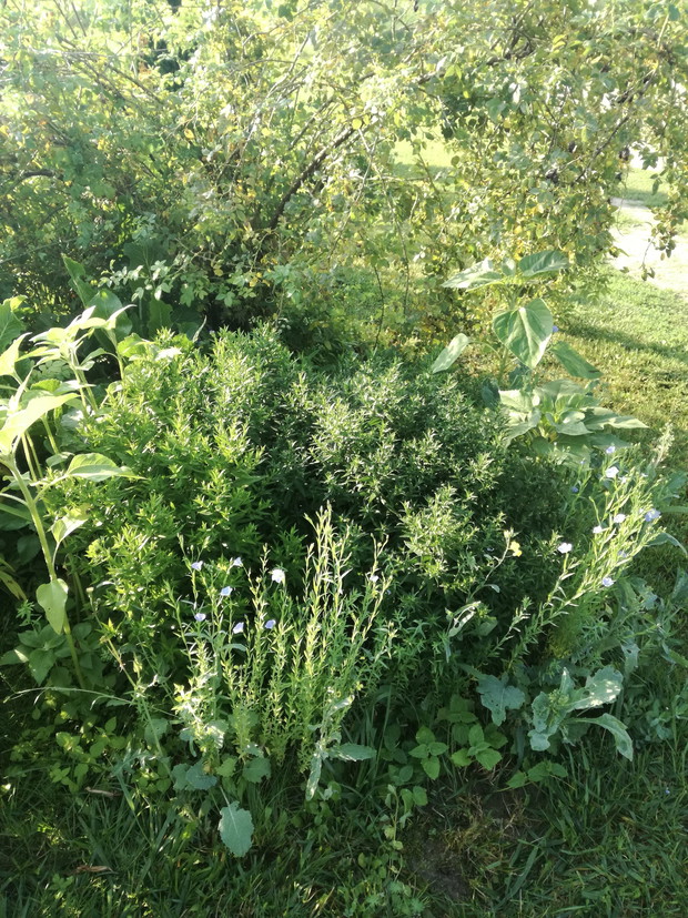 Suwalska kraina czarów