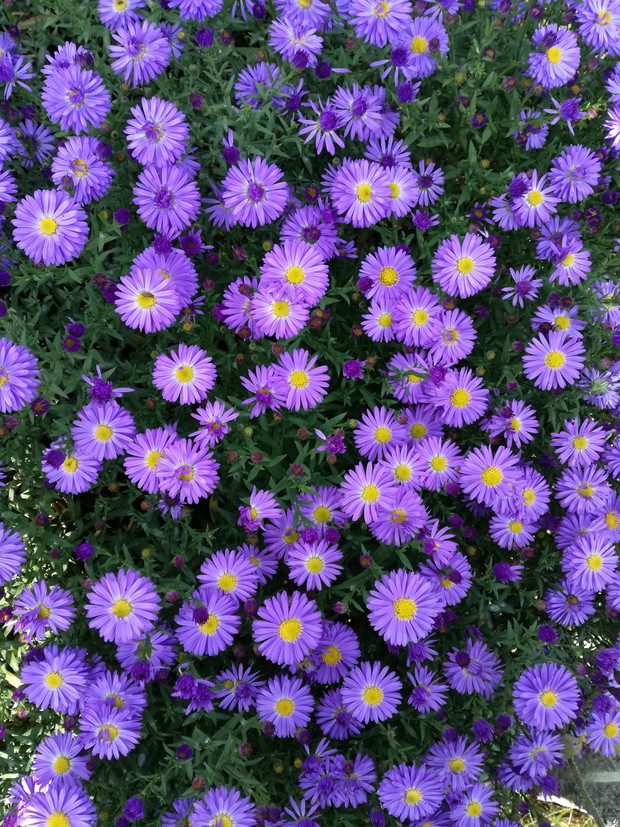 Suwalska kraina czarów