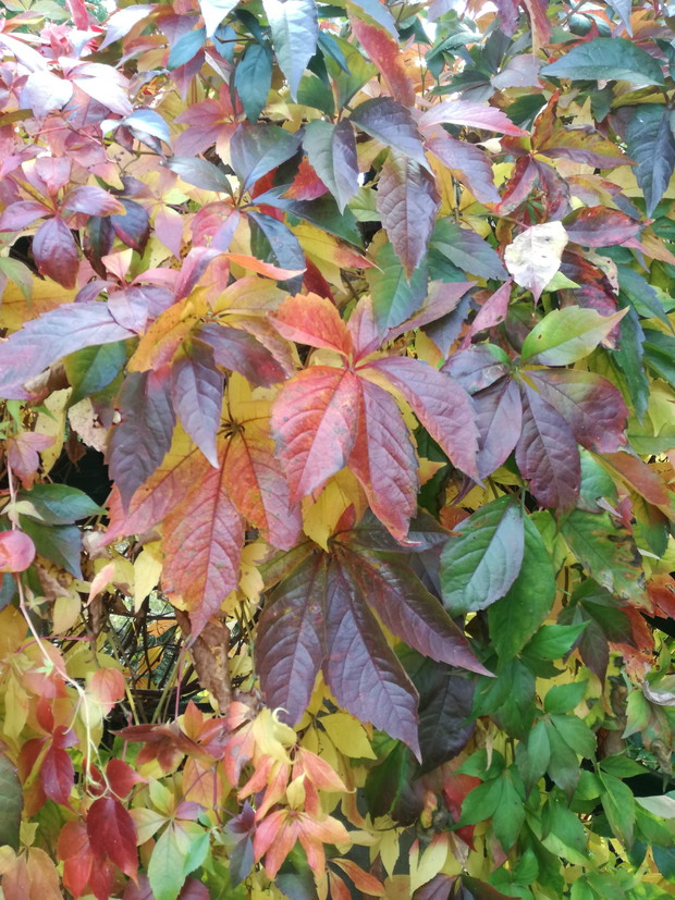 Suwalska kraina czarów