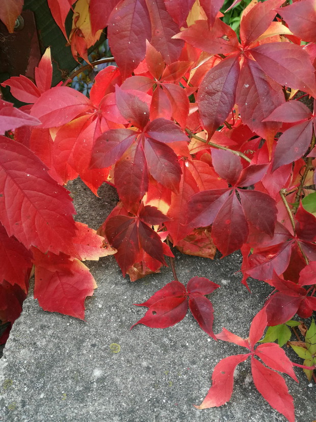 Suwalska kraina czarów