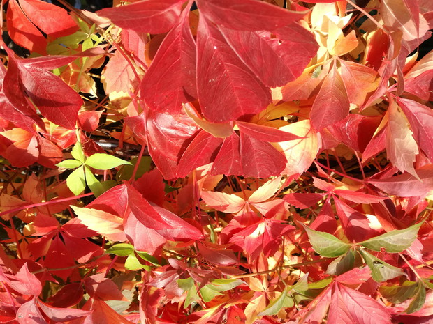 Suwalska kraina czarów