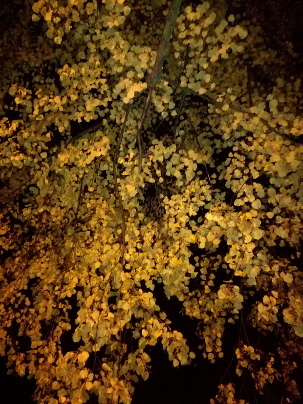 Suwalska kraina czarów