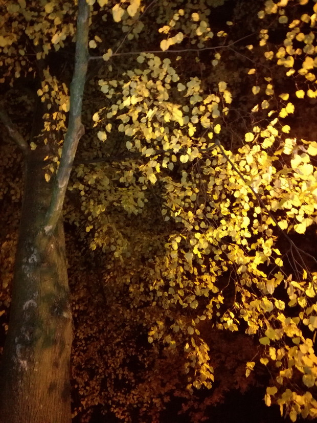 Suwalska kraina czarów