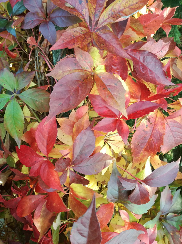 Suwalska kraina czarów