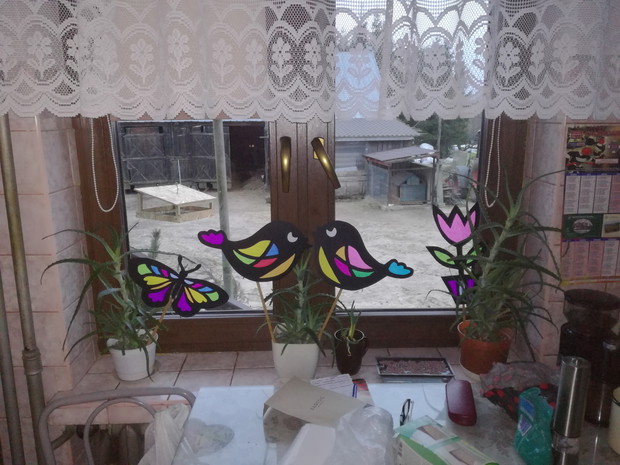 Suwalska kraina czarów