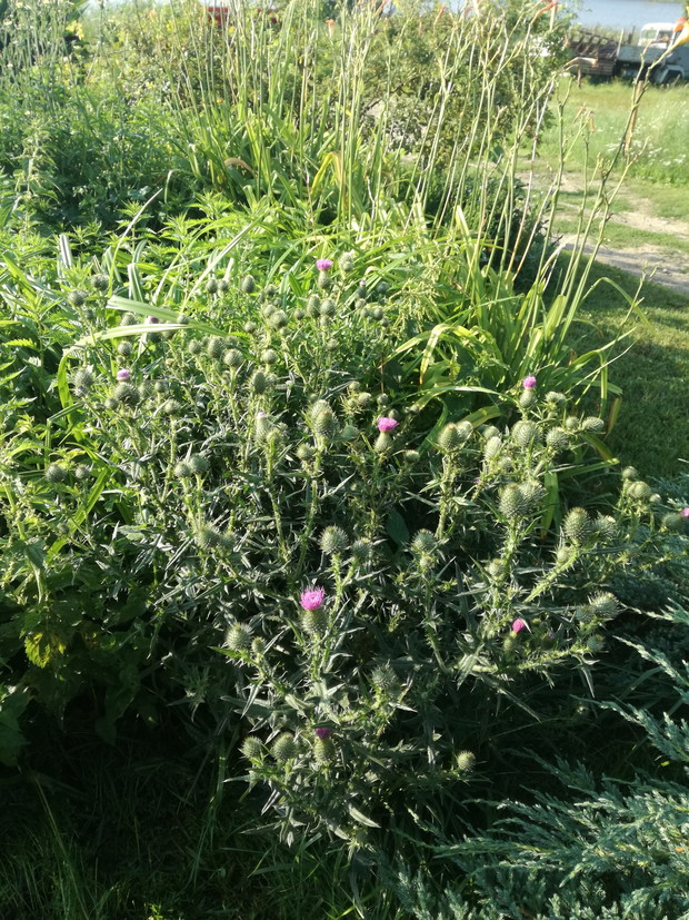 Suwalska kraina czarów