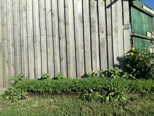 Suwalska kraina czarów