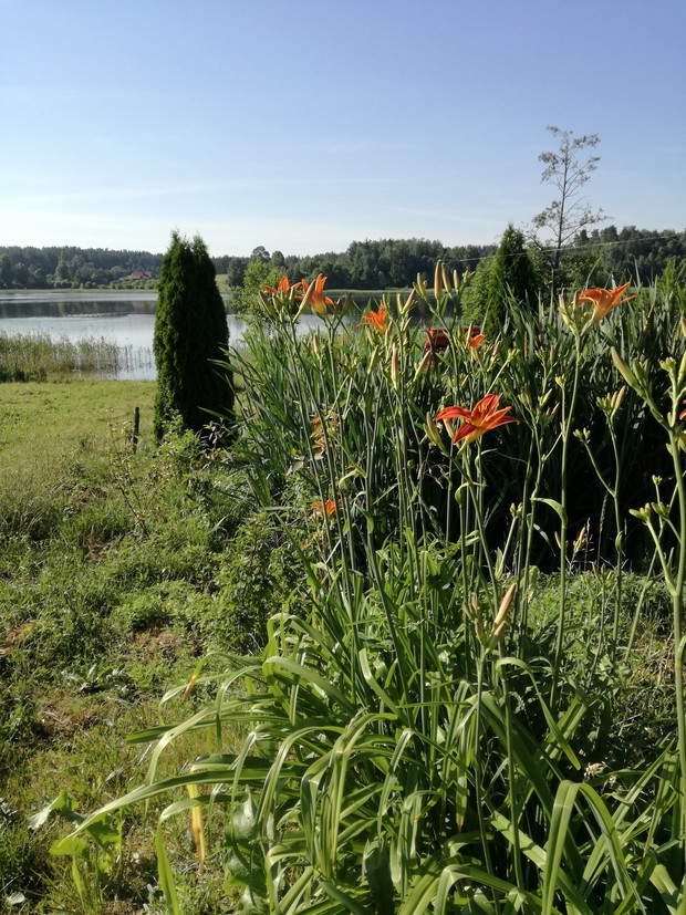 Suwalska kraina czarów