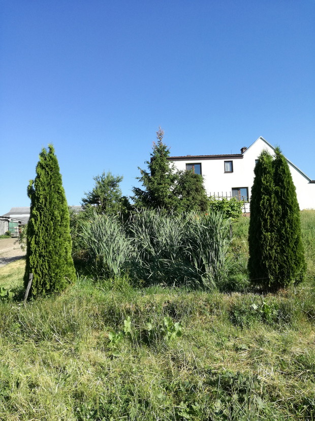 Suwalska kraina czarów