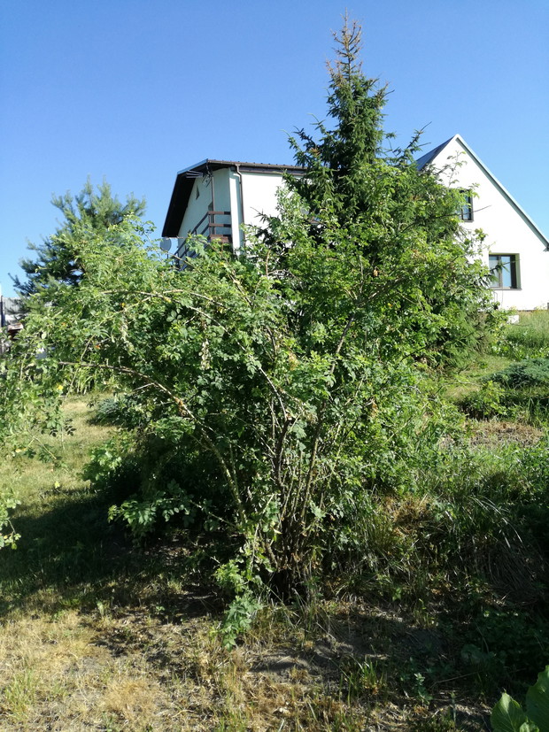 Suwalska kraina czarów