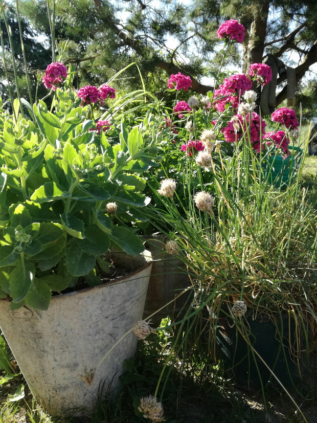 Suwalska kraina czarów