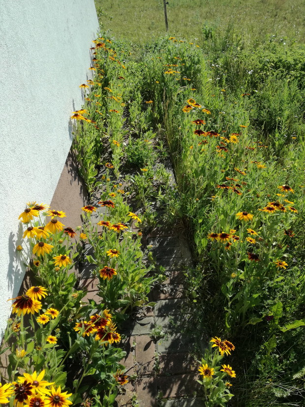 Suwalska kraina czarów