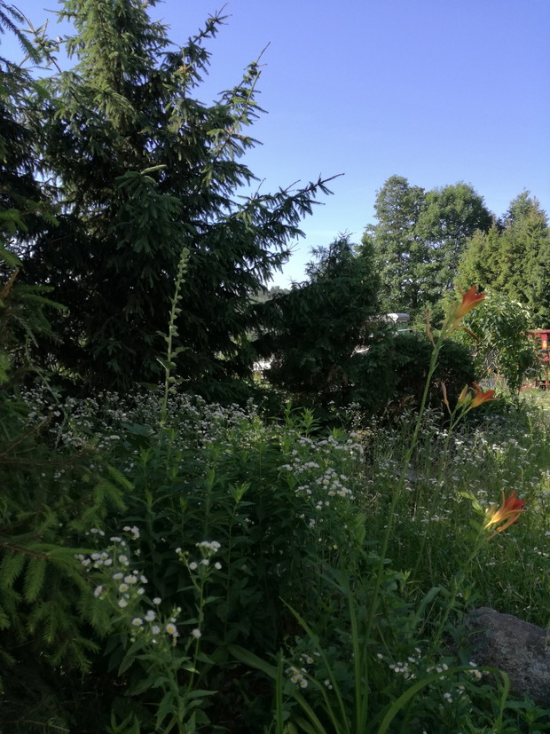 Suwalska kraina czarów