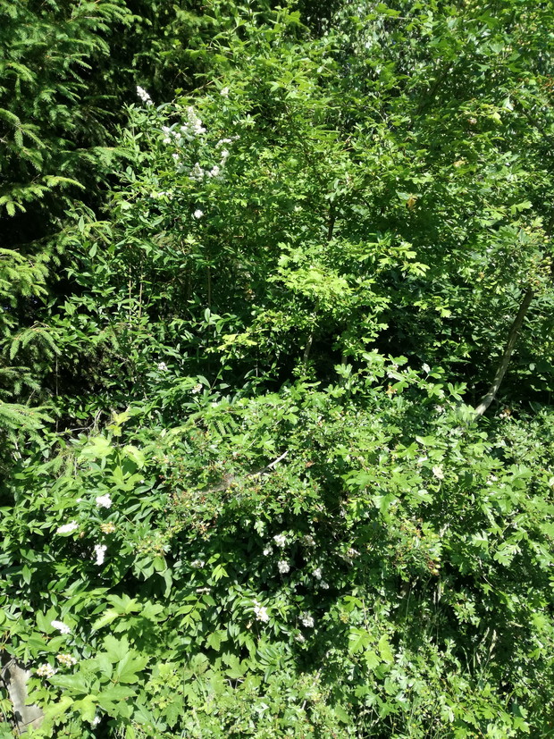 Suwalska kraina czarów