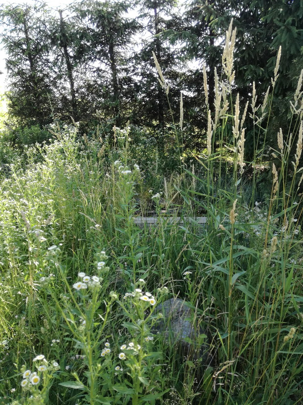 Suwalska kraina czarów