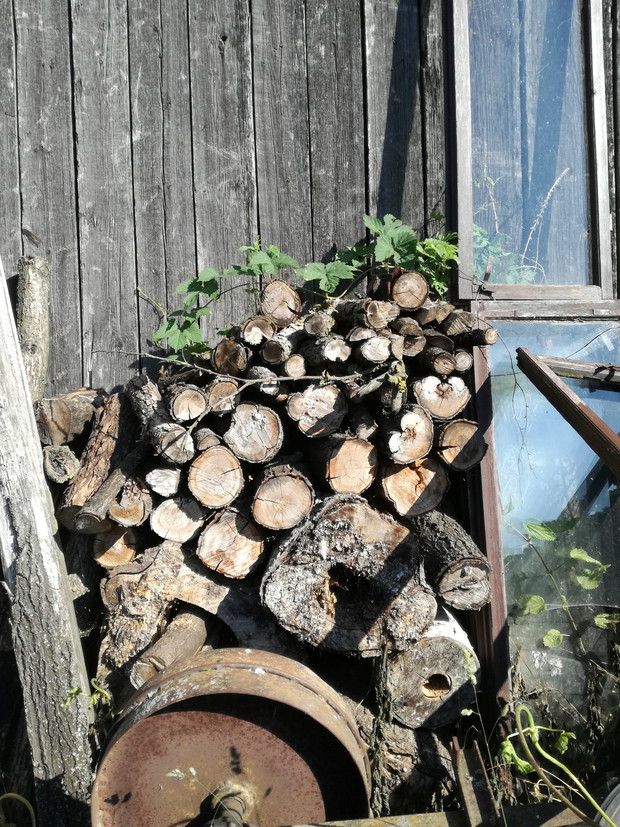 Suwalska kraina czarów