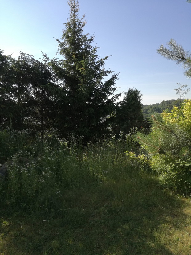 Suwalska kraina czarów