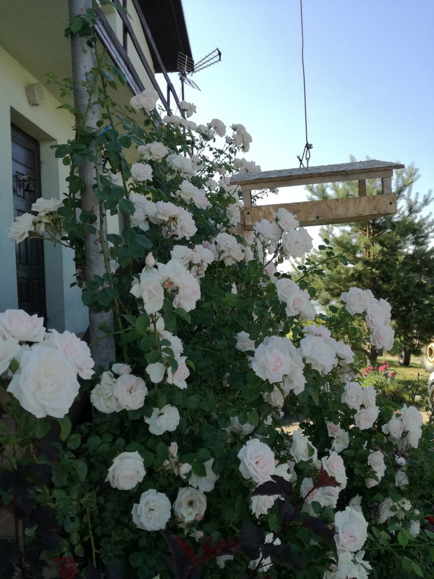 Suwalska kraina czarów