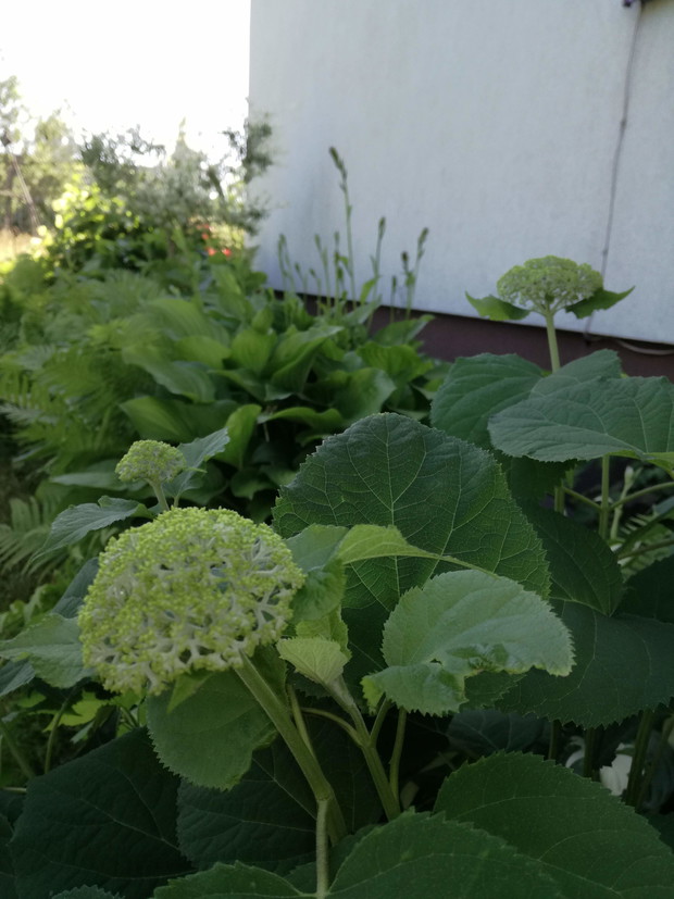 Suwalska kraina czarów