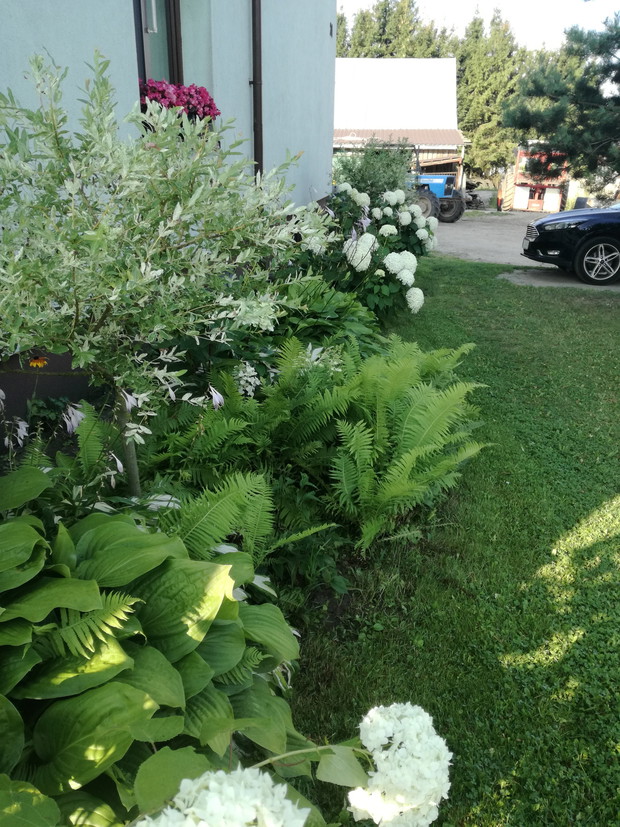 Suwalska kraina czarów