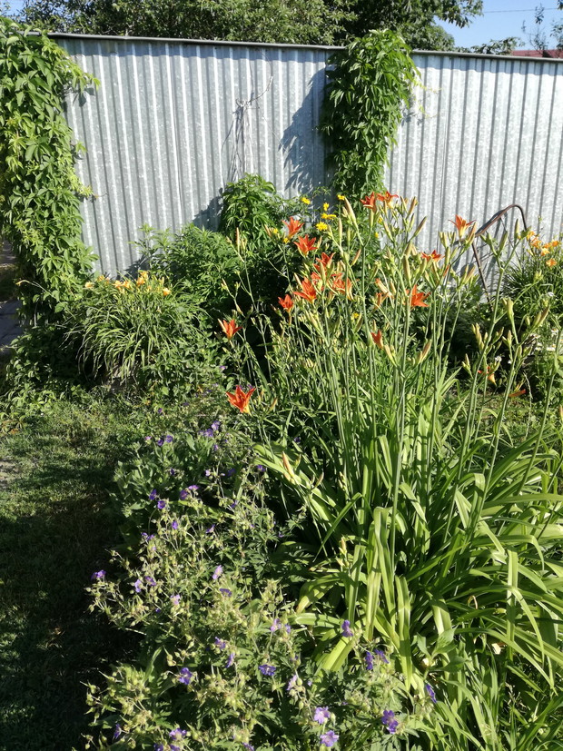 Suwalska kraina czarów